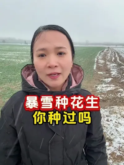大雪天能种花生吗 #花生种植 #新农人计划2025  #花生拌种剂