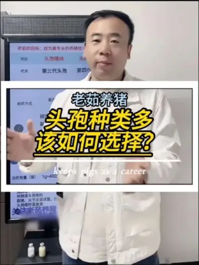 头孢噻呋钠和头孢喹肟，具体应该如何使用？#养猪人#养猪知识分享#养殖技术 #创作灵感