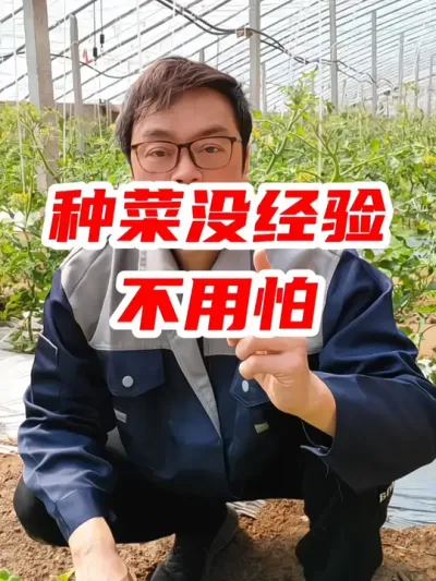 种菜没经验不用怕，记住这几点就可以了 #种菜 #农业种植 #蔬菜种植 #分享农业知识帮农民增产增收 #新农人计划2025