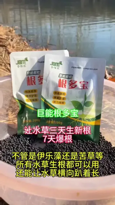 水草不长根 不发颗 就用这款聚能根多宝 #小龙虾养殖 #水草养护 #螃蟹养殖 @抖加🔥上热门🔥dou+🔥热点宝