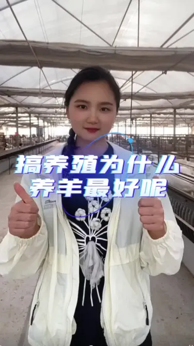 搞养殖为什么养羊最好呢#养羊知识 #我的养殖生活 #养羊技术 #养殖人加油 #羊价走势
