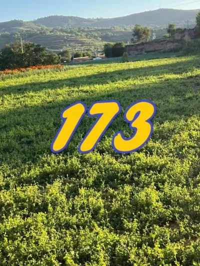 药材种植 国家扶持3种中药材您知道有那些吗 #药材种植 #药材管理 #药材高产