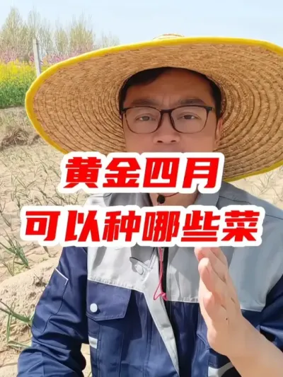 黄金四月，可以种植哪些蔬菜？ #蔬菜种植 #种菜 #农业种植 #分享农业知识帮农民增产增收 #种植小技巧