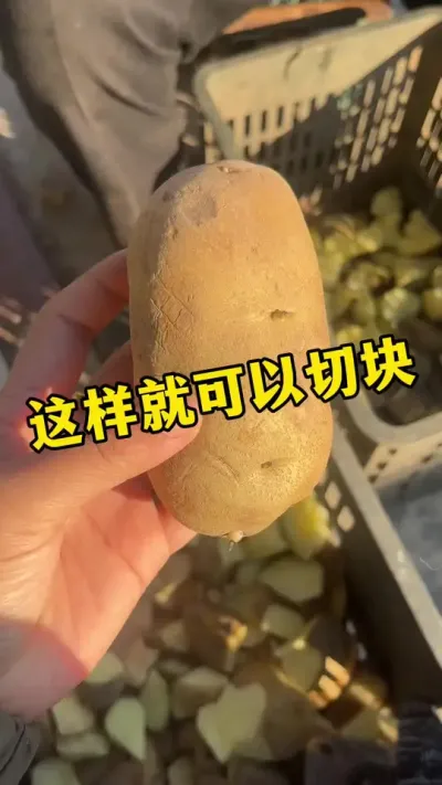 土豆催芽到这样就可以切块了#土豆 #土豆种植 @抖音小助手