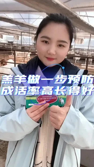 提高羊羔成活率#养羊技术分享 #养羊技术 #养羊知识 #每天分享牛羊养殖小知识