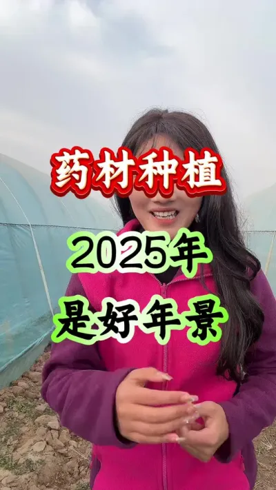 药材种植 药材种植2025年是好年景#药材种植#药材管理