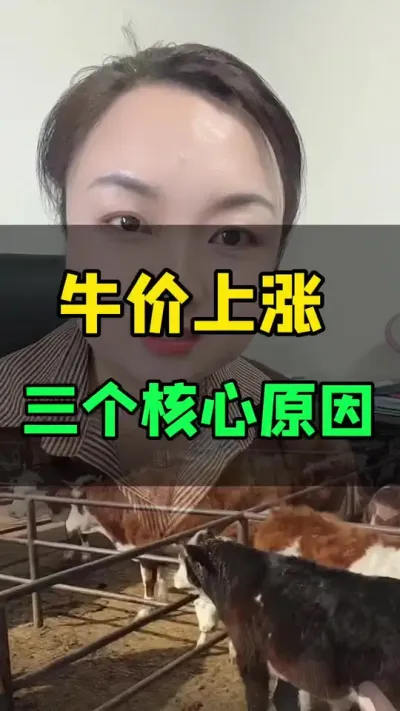 牛价上涨，三个核心原因#养殖户 #肉牛养殖 #全国养牛人 #科学养殖