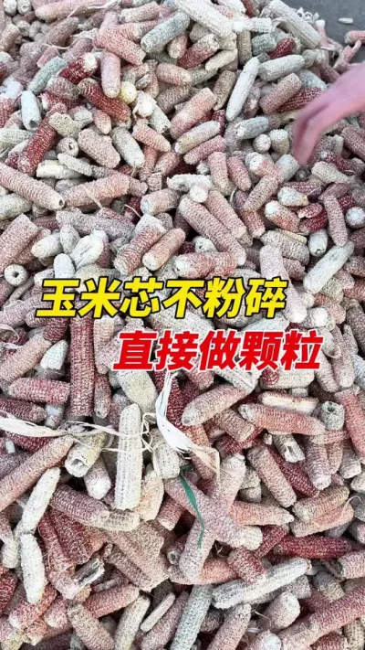 450型生物质颗粒机整根玉米芯不粉碎直接做燃烧颗粒。#颗粒机 #生物质颗粒机 #玉米芯燃烧颗粒