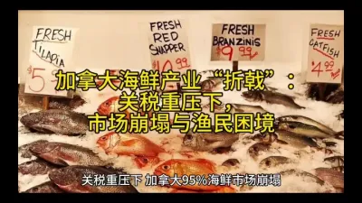 加拿大海鲜产业&ldquo;折戟&rdquo;：关税重压下，市场崩塌与渔民困境#每日分享 @云食界展贸服务平台