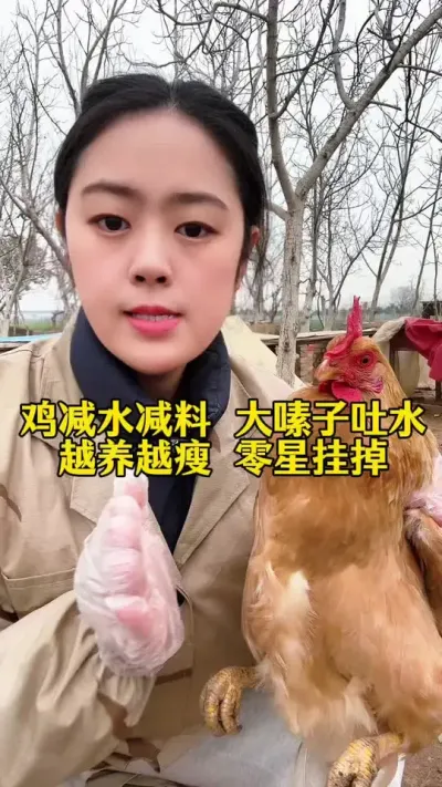 鸡减水减料大嗉子吐水，越养越瘦，零星挂掉怎么办#鸡鸭鹅养殖 #科学养鸡 #养殖小妙招 #鸡病防治