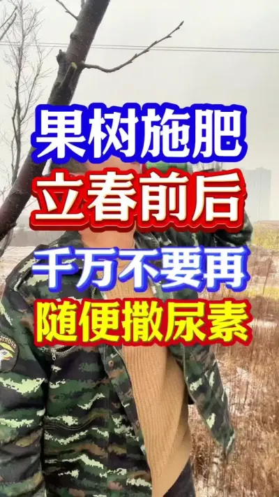 #促花保果 #促花肥 #分享农业知识帮农民增产增收 #抖音助农 #果树种植