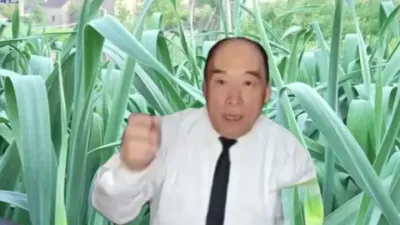 超高产的大蒜怎样管理？#大蒜种植技术 #大蒜种植 #农业技术推广 #农资肥料 #大蒜种植方法技术与管理