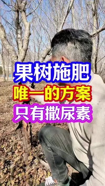 #促花保果 #保花保果 #促花肥 #果树种植 #抖音助农