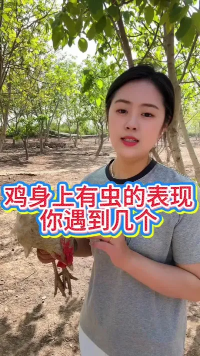 #科学养鸡 #鸡鸭鹅养殖 #抖音养鸡人 #服务三农支持三农 #养殖小妙招