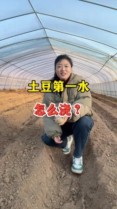 土豆播种后的第一水如何浇#土豆高产种植 #土豆 @抖音小助手