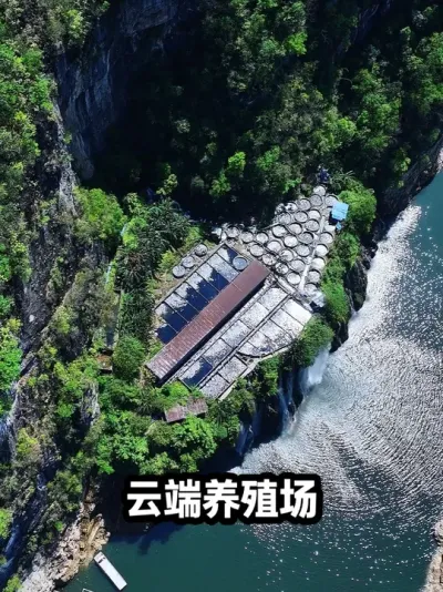 绝美云端挂壁养殖场见过吗，如改建民宿那还不得火遍全网 这地如果是民宿，每年给当地带来的人流量不可估量#人间仙境美如画 #避暑度假到贵州 #奇闻奇事