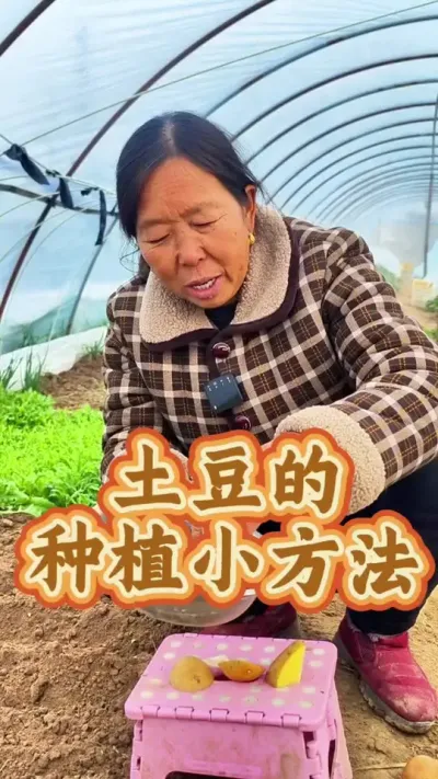 土豆的种植小方法 土豆的种植小方法#土豆种植 #每天分享蔬菜种植技巧 #种植小技巧 #生菜杨姐 #三农种植 @DOU+小助手