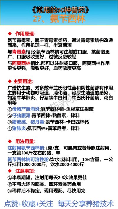 《常用的50种兽药》 27、氨苄西林，养猪牛羊如何正确使用？和哪些兽药搭配效果最好？不能和哪些兽药合用？氨苄西林和阿莫西林有什么区别？#养猪人 #兽医 #兽药 #养猪技术 #创作灵感
