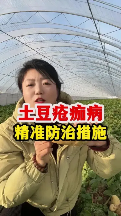 土豆疮痂病的精准预防措施，一定要看#土豆高产种植 #土豆种植 #种植小技巧