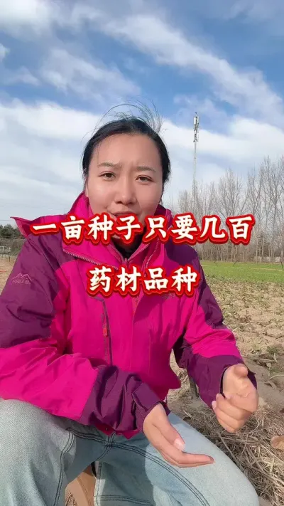 药材种植 一亩种子只要几百药材品种 #药材种植 #药材管理