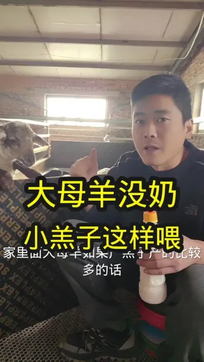 #养羊 #农村养羊 #养羊技术分享 #羔羊奶粉 #小羊羔喂奶