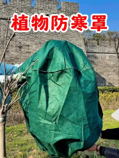 冬天来了，寒冷季节果树花卉绿植怎么过冬？快试试这个植物防寒罩吧，简单一套一拉，轻松为植物穿上防寒保暖服#防寒树罩 #植物防寒罩 #果树防寒罩 #保温罩 #植物防寒