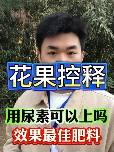 花果控释最佳时间#果树种植 #果树管理 #果园管理