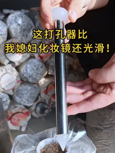 这打孔器比我媳妇化妆镜还光滑！菌丝&ldquo;顺滑着陆&rdquo;，不卡不堵！#平菇种植 #打孔器 #菌种打孔器