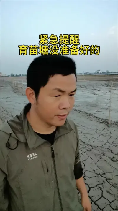 刚吃完韭菜盒子， #水产养殖 #河蟹养殖