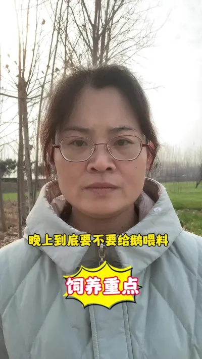 晚上到底要不要给鹅喂料？#养鹅技术分享 #科学养鹅 #养殖人加油 #农村创业养殖 #上热门🔥