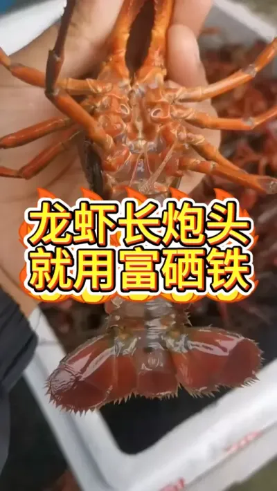 龙虾想要长炮头，就用富硒铁 #小龙虾 #三农 #渔德盛 #小龙虾养殖 #2025新农人计划
