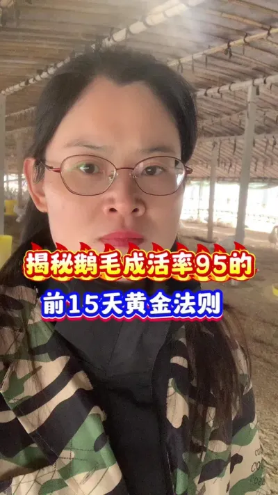 揭秘鹅毛成活率95的15天黄金法则#狮头鹅 #每天分享养殖技术和经验 #养鹅人 #养鹅技术分享 #农村创业养殖