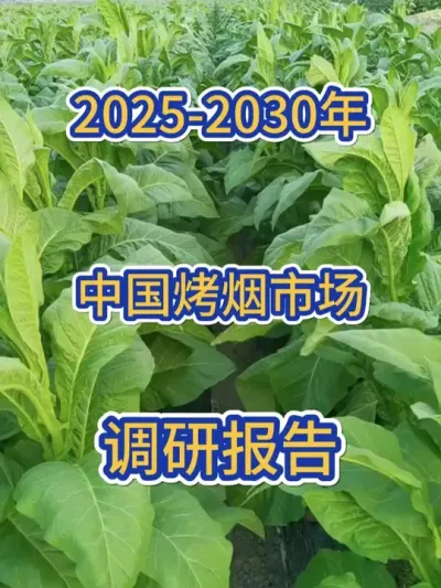 2025-2030年烤烟市场调研报告 #三农种植 #烤烟 #烤烟种植技术与管理 #烟叶 #烤烟种植