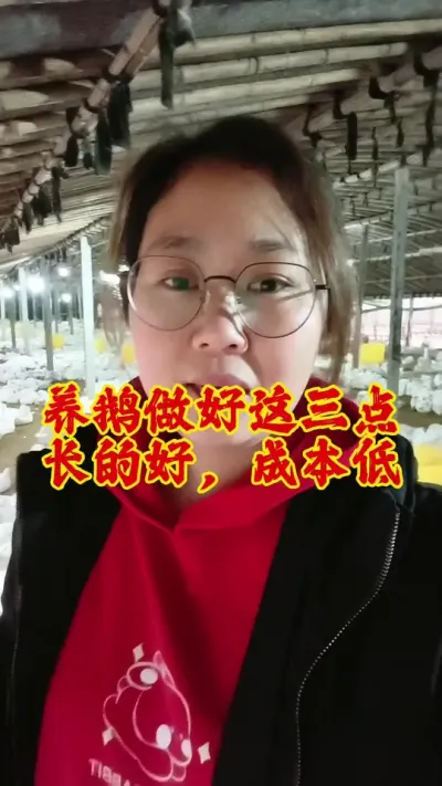 养鹅做好这三点，长得好，成本低#养鹅技术分享 #科学养鹅 #养鹅技术 #养鹅 #鹅