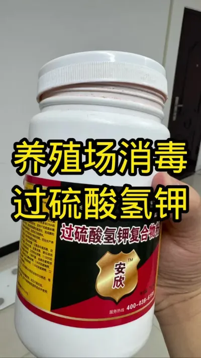养殖场消毒用过硫酸氢钾， 认准&ldquo;兽&rdquo;字号，国标可扫码的过硫酸氢钾。99元8桶，297元6桶，品质保证。#养猪 #过硫酸氢钾 #猪场消毒 #养猪人