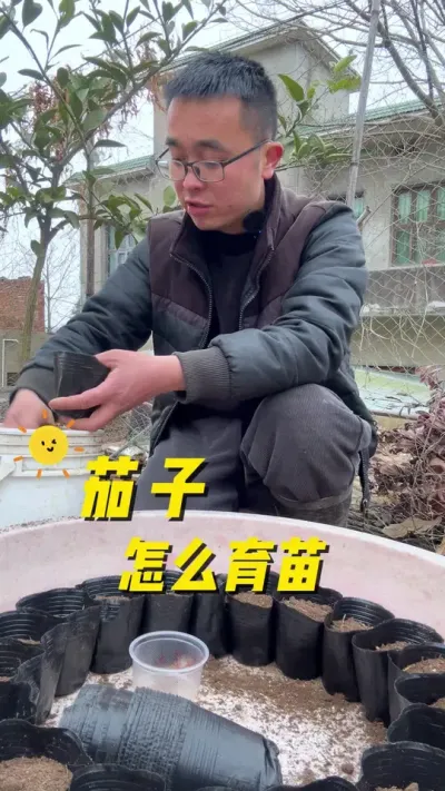 茄子怎么育苗？茄子育苗方法#种植小技巧 #关注我一起学种菜 #阳台种植 #每天分享蔬菜种植技巧 #蔬菜种植