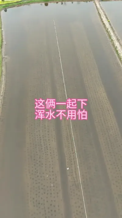 这俩一起下，浑水不用怕 #水产养殖 #河蟹养殖