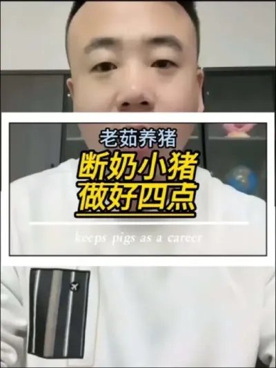 小猪断奶以后，总是容易拉稀，做好这四点就够了#创作灵感#养猪#养猪知识#养好猪