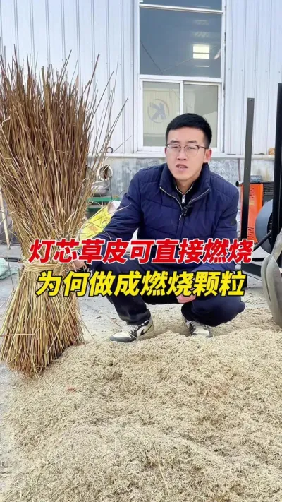 草皮也可以做燃烧颗粒 450型生物质颗粒机灯芯草做燃烧颗粒，一起欣赏一下吧。#颗粒机 #粉碎机 #燃烧颗粒