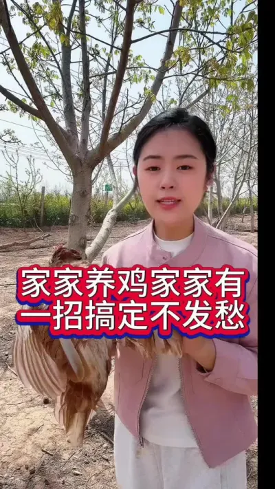 家家有鸡家家有一招搞定不发愁#养鸡#科学养鸡#散养土鸡#鸡鸭鹅养殖#养鸡妙招