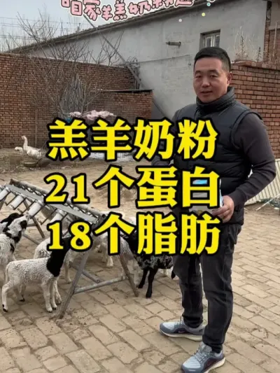#每天分享牛羊养殖小知识  #我的养殖生活  #农村养羊   现在是产羔的旺季，咱们做繁殖羊的看过来