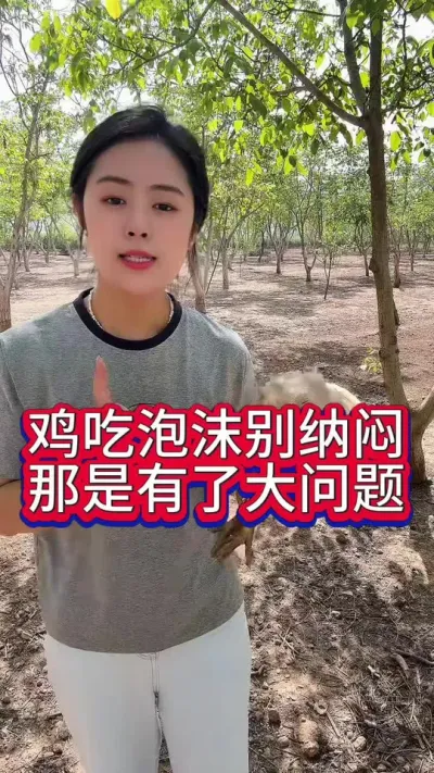 鸡吃泡沫别纳闷那是有了大问题#服务三农支持三农 #鸡鸭鹅养殖 #养殖小妙招 #科学养鸡 #抖音养鸡人