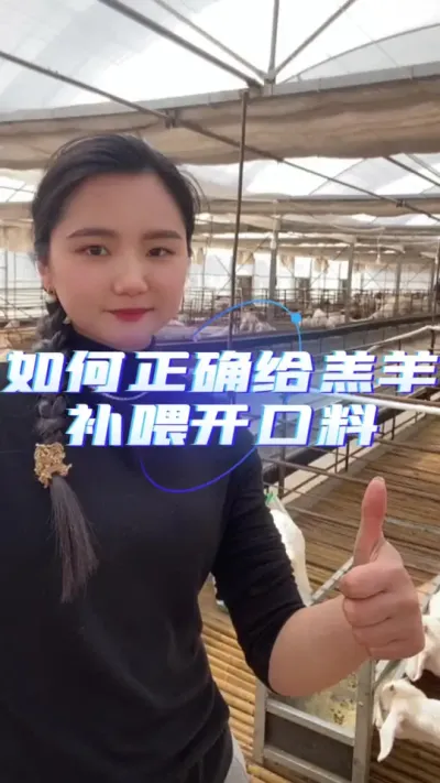 羔羊开口料#养羊创业 #养羊人 #养羊技术 #养羊技术分享