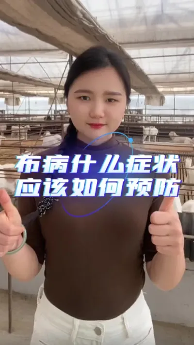 布病什么症状应该如何预防#养羊技术分享 #三农 #自繁自养 #养羊知识 #羊价行情