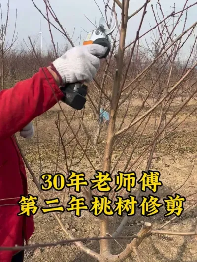 #支持三农扶持三农发展 #分享农业知识帮农民增产增收 #抖音助农 #关注我每天为你分享更多农业知识 #农业技术推广 @抖音小助手 @抖音热点宝 @抖音创作者中心