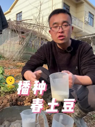 播种春土豆，春土豆怎么种？#关注我一起学种菜 #在家种菜 #蔬菜种植 #阳台种植 #记录我的种植生活