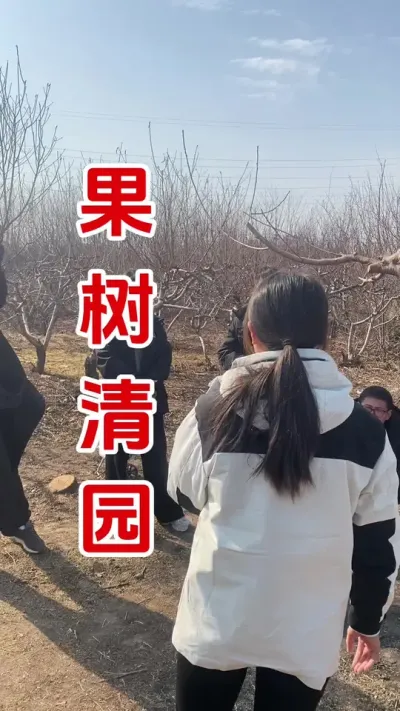 果树清园#果树种植#果树清园#清园剂#果园管理
