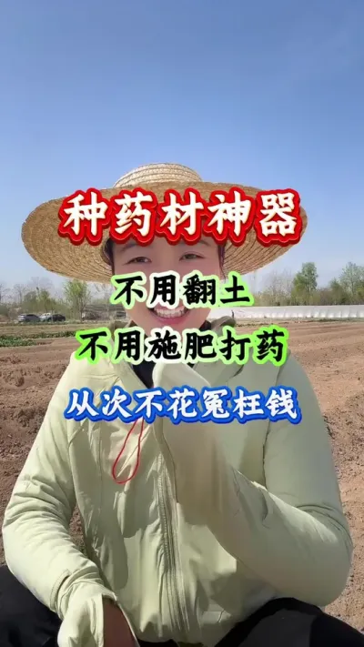 药材种植 种药材神器不用翻土不用施肥打药从此不花冤枉钱 #药材种植 #药材管理 #药材高产