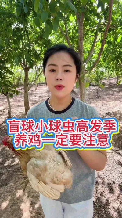 #抖音养鸡人 #科学养鸡 #服务三农支持三农 #鸡鸭鹅养殖 #养鸡人