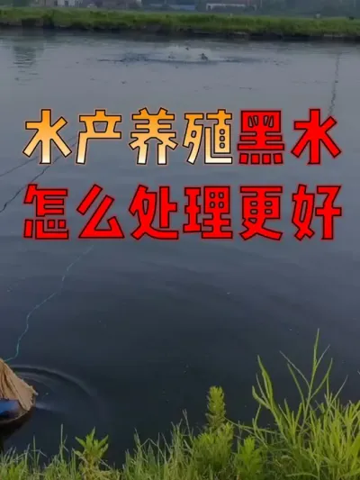 #水产人  注意了！#水产养殖  池塘出现黑水，一定要针对性处理！#水产养殖技术  #水产